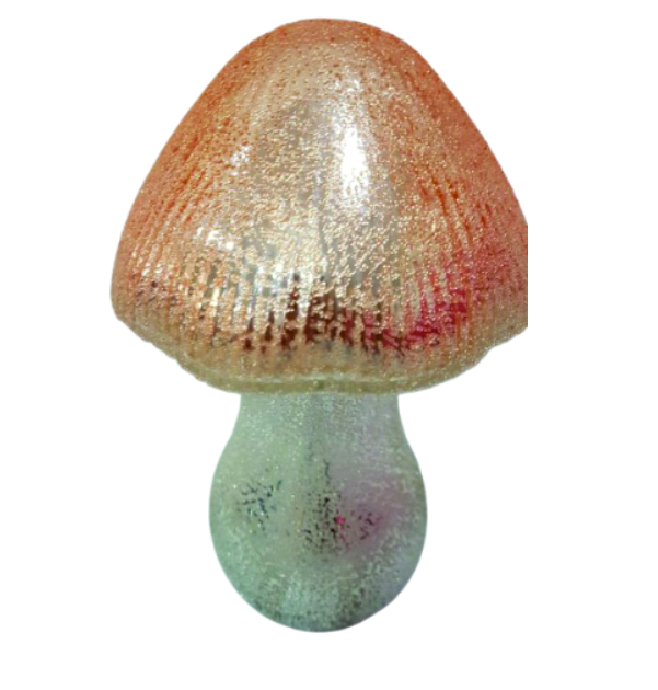  KIt de Dois Cogumelos vitrificados